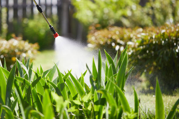Tamper-Resistant Bait Stations for Rodents in Diaz