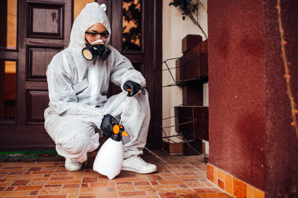Attic and Crawl Space Rodent Treatment in Diaz